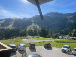 Magnifique Studio à Moléson Gruyères